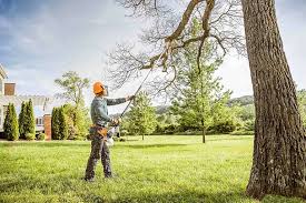 Best Hedge Trimming  in Tilton Northfield, NH